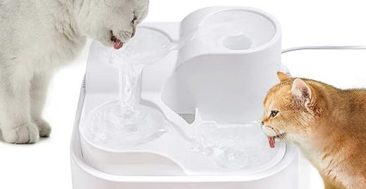 5 beste Haustier-Trinkbrunnen für Katzen und Hunde: Liste 2025